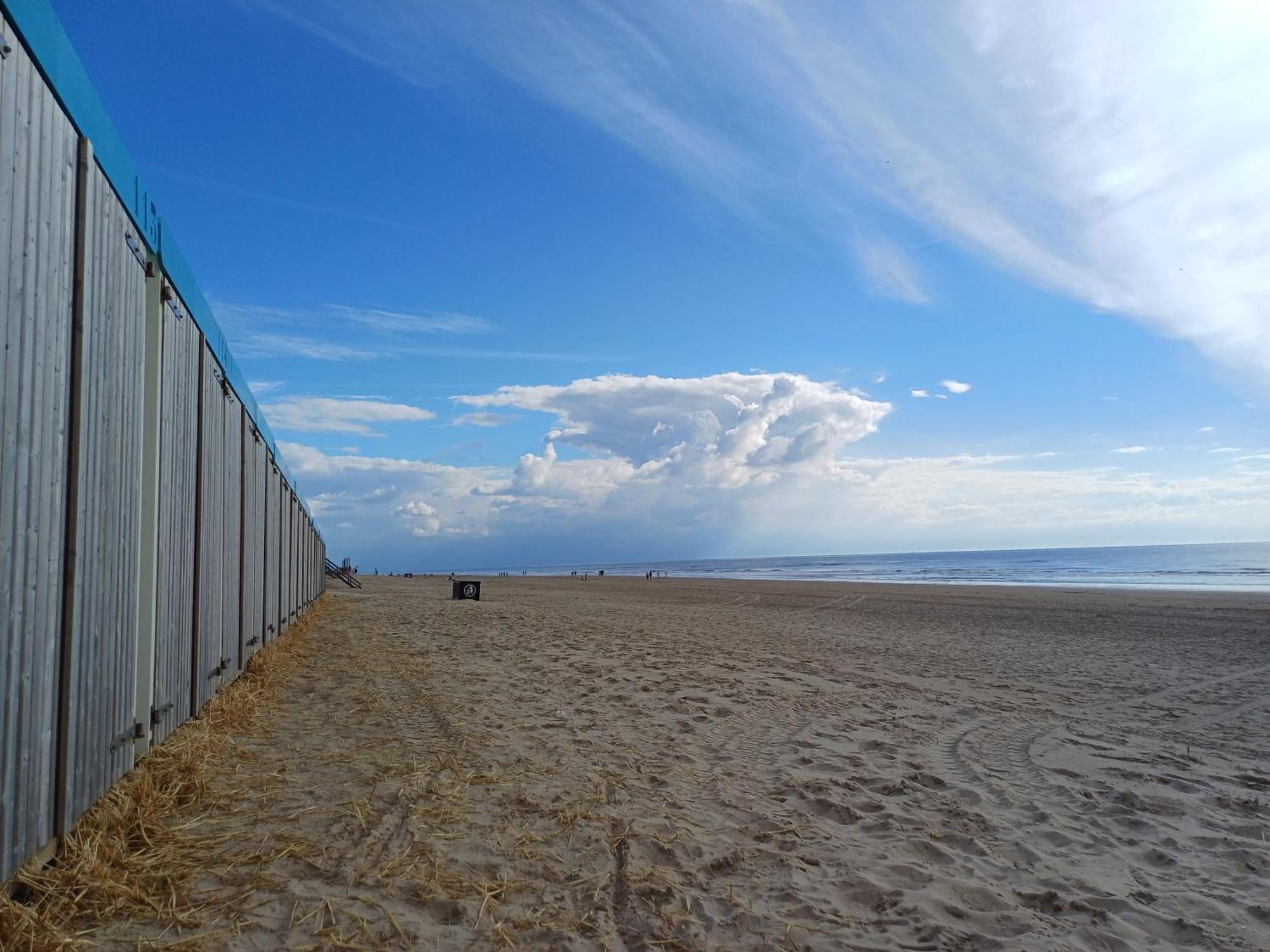Vila Vrije Vogels Warmenhuizen Exteriér fotografie