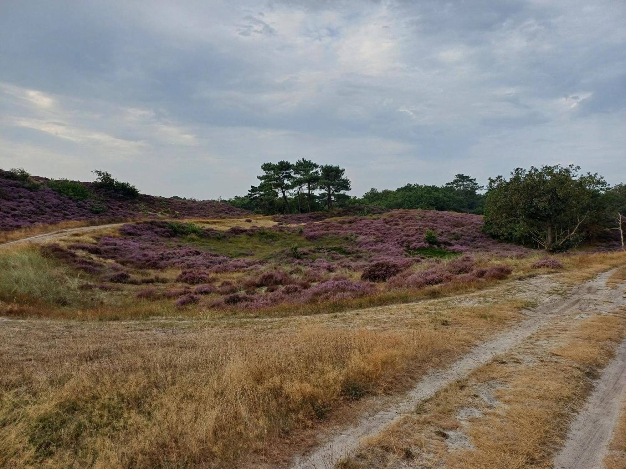 Vila Vrije Vogels Warmenhuizen Exteriér fotografie